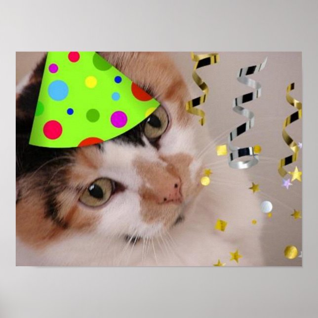 Calico Cat Birthday Party Poster (Front)