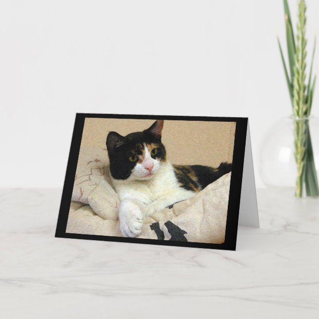 Calico Cat Birthday Wishes Card (Front)