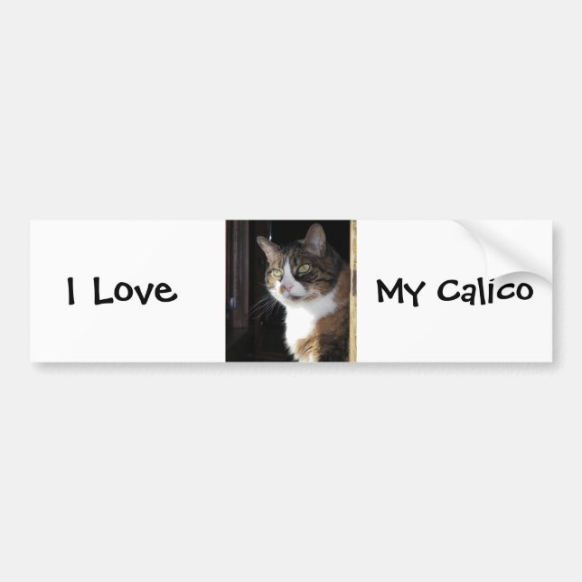 Calico Cat Bumper Sticker (Front)