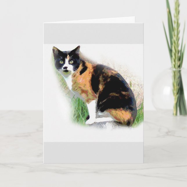 Calico cat card (Front)