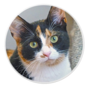 Calico Cat Ceramic Knob