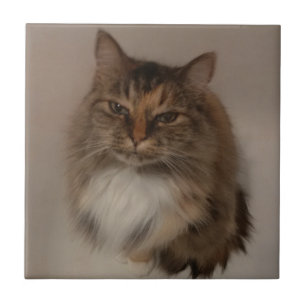 Calico Cat Ceramic Tile