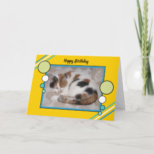 Calico cat curled up asleep photo yellow green card