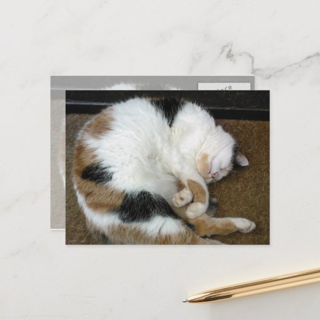 Calico cat curled up on a doormat postcard (Front/Back In Situ)
