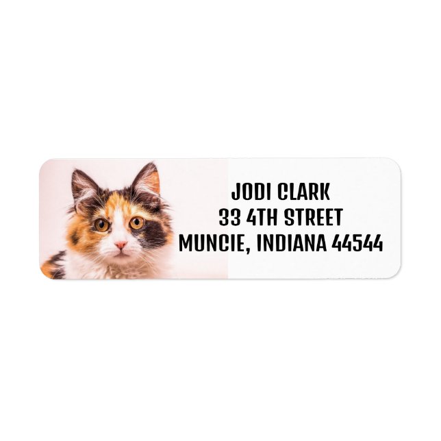 CALICO CAT CUTE RETURN ADDRESS LABELS (Front)
