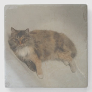 Calico Cat Drink Coaster
