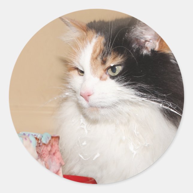 Calico cat eats birthday cake classic round sticker (Front)