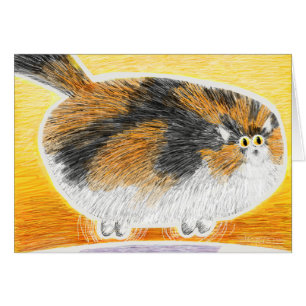 Calico cat floating