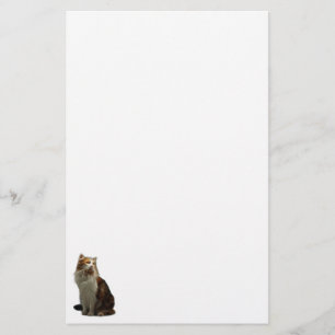 Calico Cat Fractal Stationery
