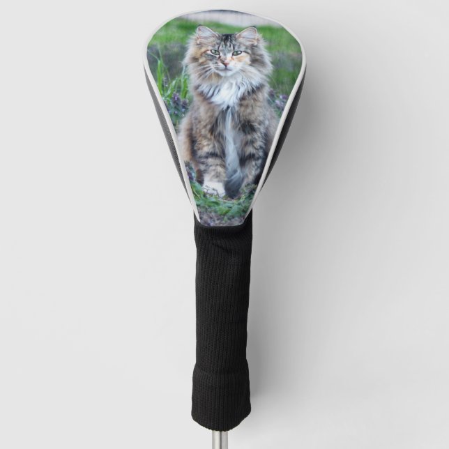 Calico Cat Golf Head Cover (Front)