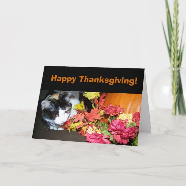 Calico Cat Happy Thanksgiving Card (Front)