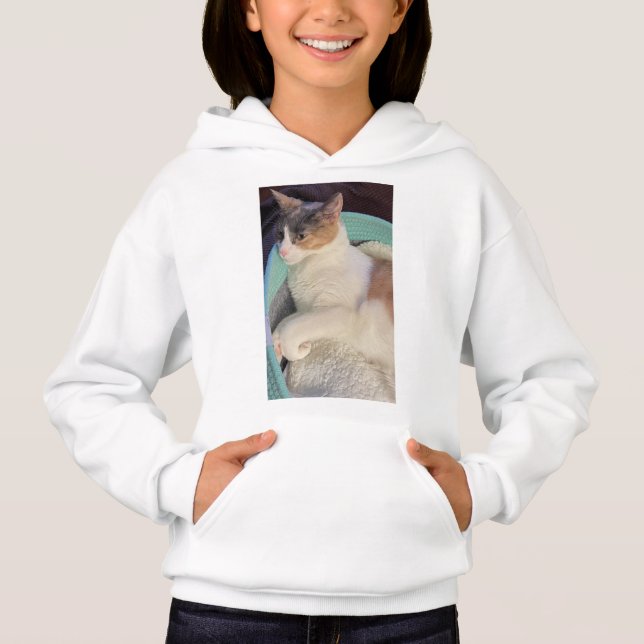 Calico Cat in Cat Bed (Front)