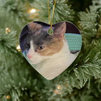 Calico Cat in Cat Bed Ceramic Tree Decoration