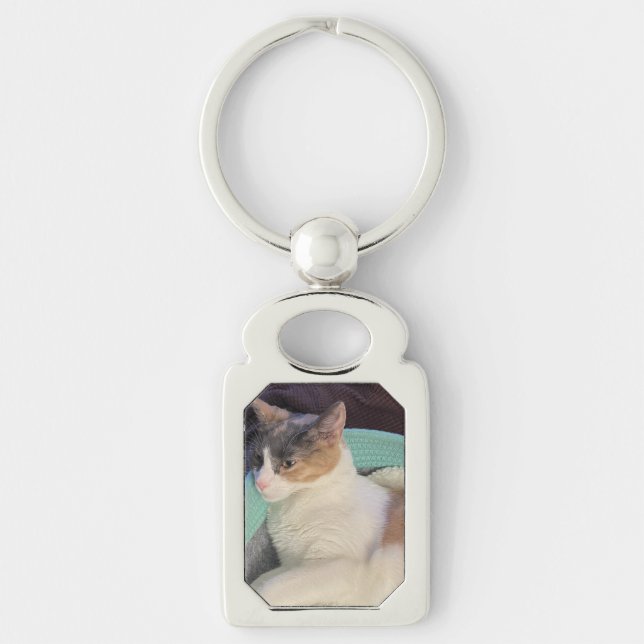 Calico Cat in Cat Bed Key Ring (Front)