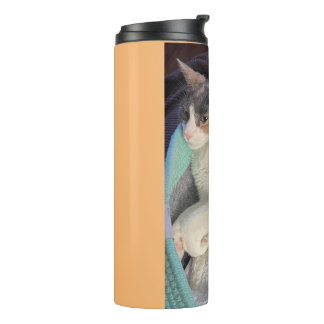 Calico Cat in Cat Bed Thermal Tumbler