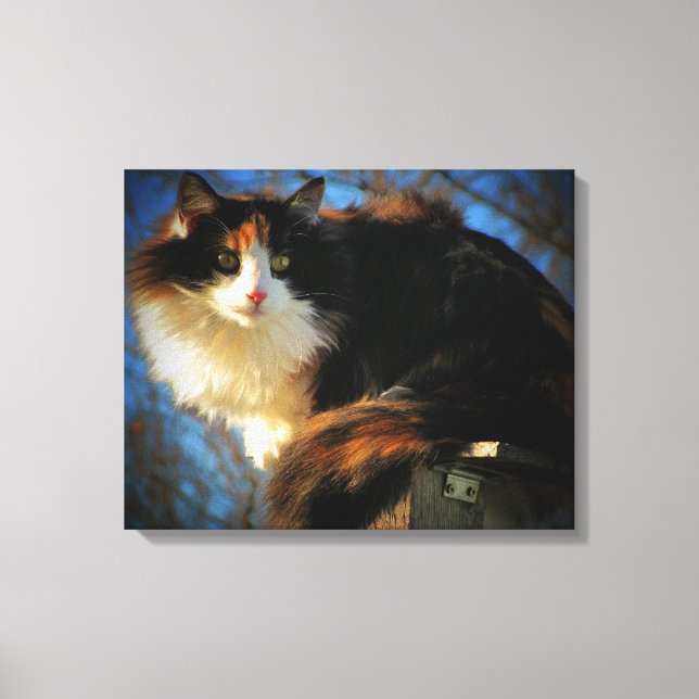 Calico Cat in the wind Canvas Print (Front)