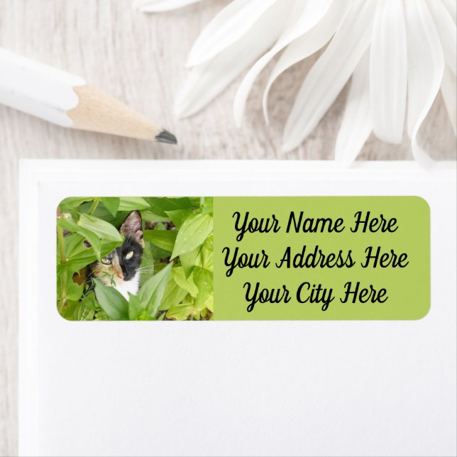 Calico Cat in the Zinnias (Insitu)