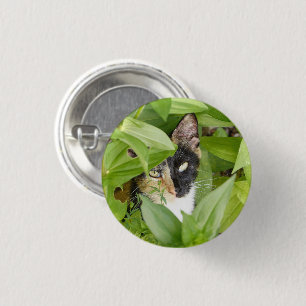 Calico Cat in the Zinnias 3 Cm Round Badge
