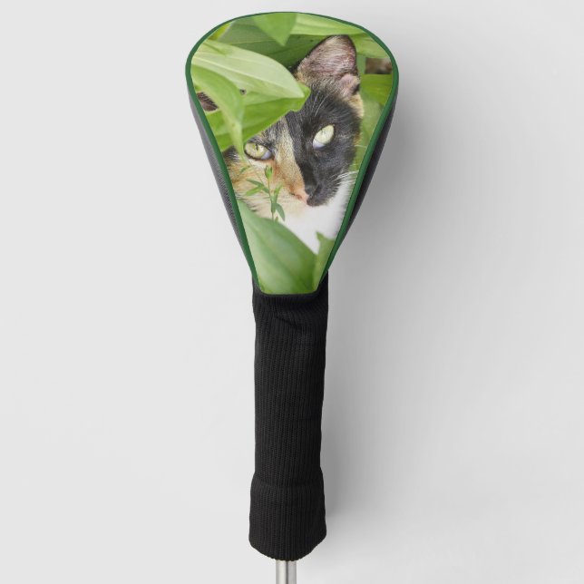 Calico Cat in the Zinnias Golf Golf Head Cover (Front)