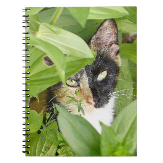 Calico Cat in the Zinnias Notebook (Front)