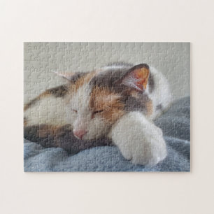 Calico Cat  Jigsaw Puzzle