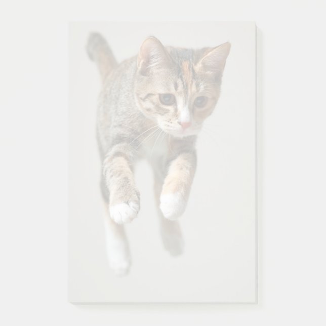 Calico Cat Jumping Post-it Notes (Front)