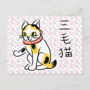 Calico Cat Kanji Japanese Calligraphy Postcard