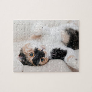Calico Cat Laying on his back with paws up Jigsaw Puzzle