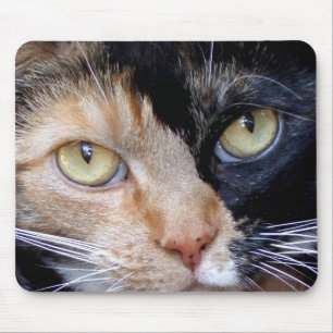 Calico cat mousepad