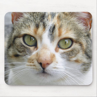 Calico Cat Mousepad