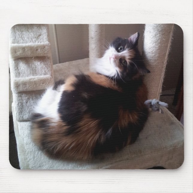 Calico Cat on Cat Tree Mouse Mat (Front)