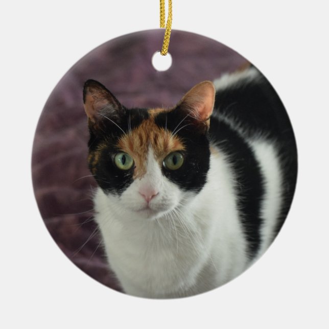 Calico cat ornament (Front)
