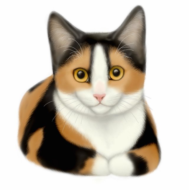 Calico Cat Ornament Photo Sculpture Decoration (Front)