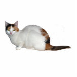 Calico Cat Photo Sculpture Key Ring<br><div class="desc">A 3D keychain of a calico cat</div>