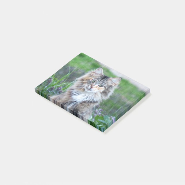 Calico Cat Post-it Notes (Angled)