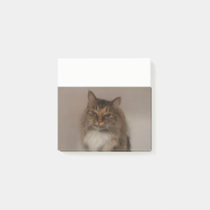Calico Cat Post it Notes