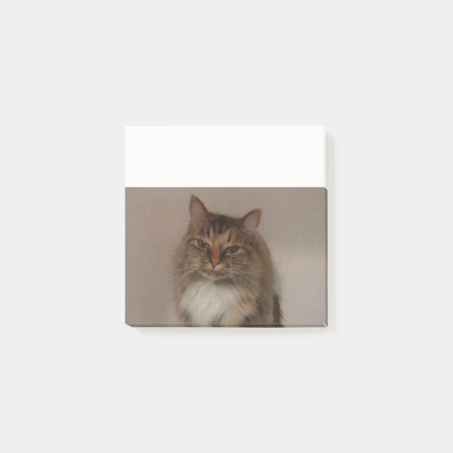 Calico Cat Post it Notes (Front)