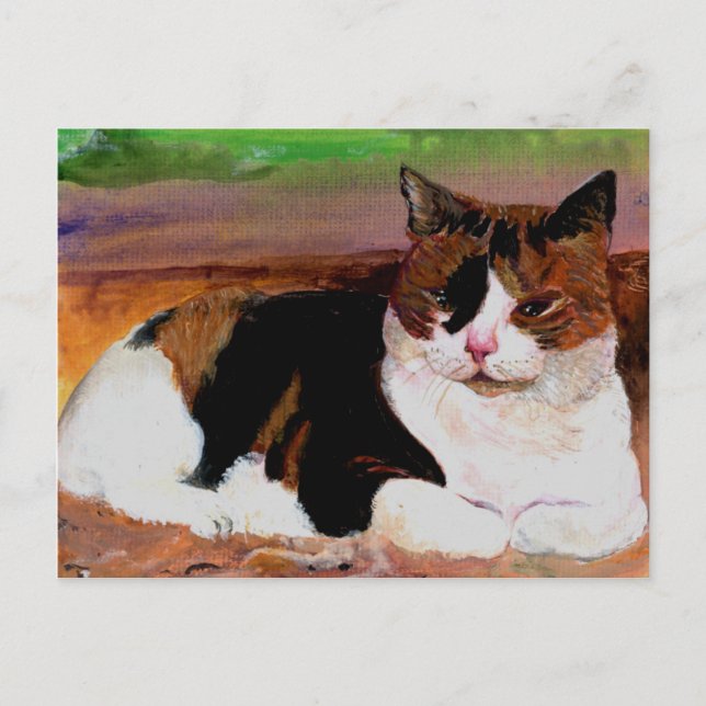 Calico Cat Postcard (Front)