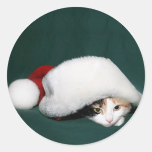 Calico cat Santa sticker