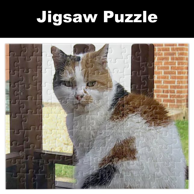 Calico cat sitting on decking jigsaw puzzle (Creator Uploaded)