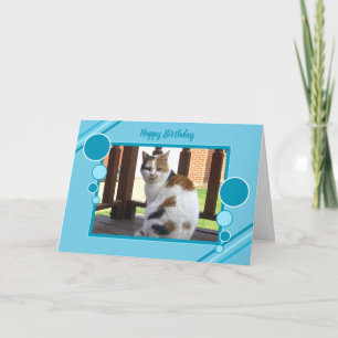 Calico cat sitting photo purple turquoise card