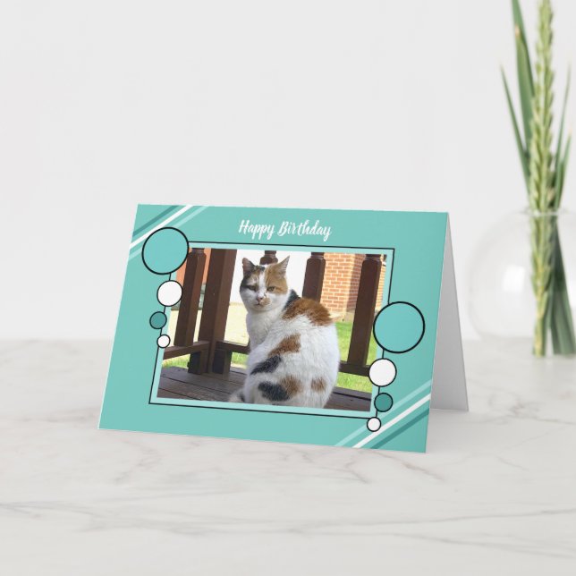 Calico cat sitting photo turquoise green birthday card (Front)