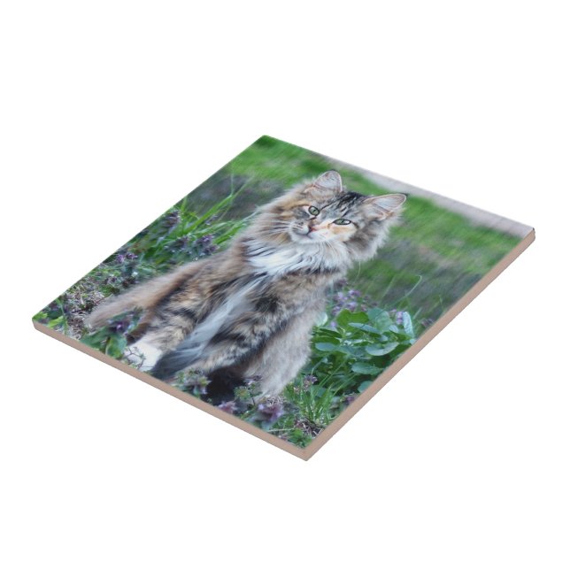 Calico Cat Tile (Side)