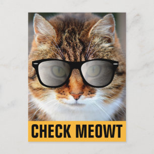 CALICO CAT WEARING SUNGLASSES POSTCARDS