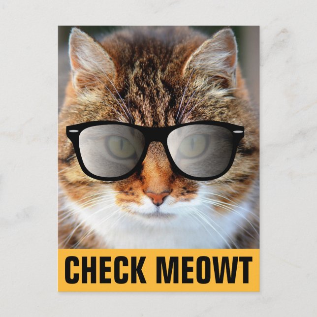 CALICO CAT WEARING SUNGLASSES  POSTCARDS (Front)