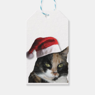 Calico Cat with a Santa Claus Hat Gift Tags