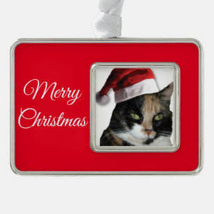 Calico Cat with a Santa Claus Hat Silver Plated Framed Ornament
