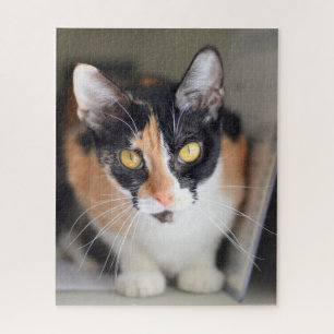 Calico Cat with Yellow Eyes Jigsaw Puzzle