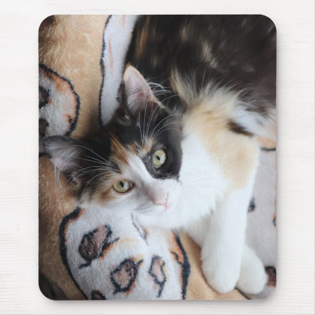 Calico Cricket Kitty Mouse Mat (Front)