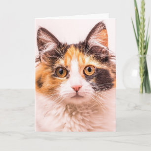 CALICO CUTE CAT BIRTHDAY GREETING CARD